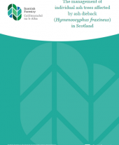 The management of individual ash trees affected by ash dieback (Hymenoscyphus fraxineus) in Scotland